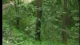 Jebacina na Avali Serbian-Srpski By KRMANJONAC