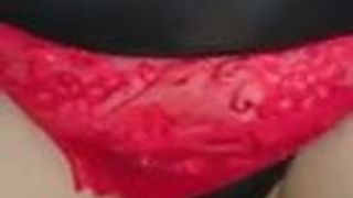 Svrsavanje u pickicu..